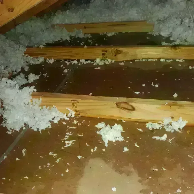 Attic Water Damage in Clute, TX